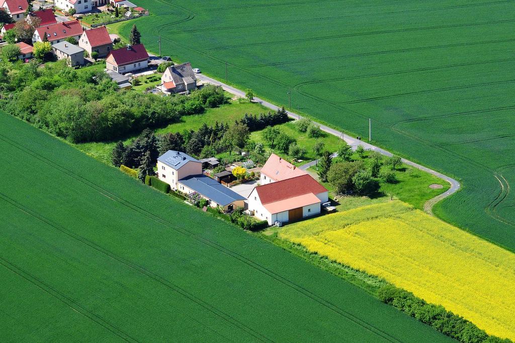 فندق Gastehaus Schirner Niederau المظهر الخارجي الصورة